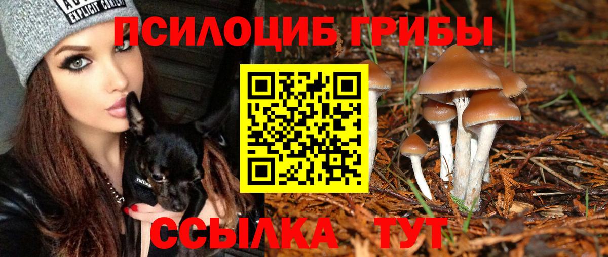 Галлюциногенные грибы мухоморы  Вход с VPN  Псилоцибиновые грибы мухоморы  Кохма 